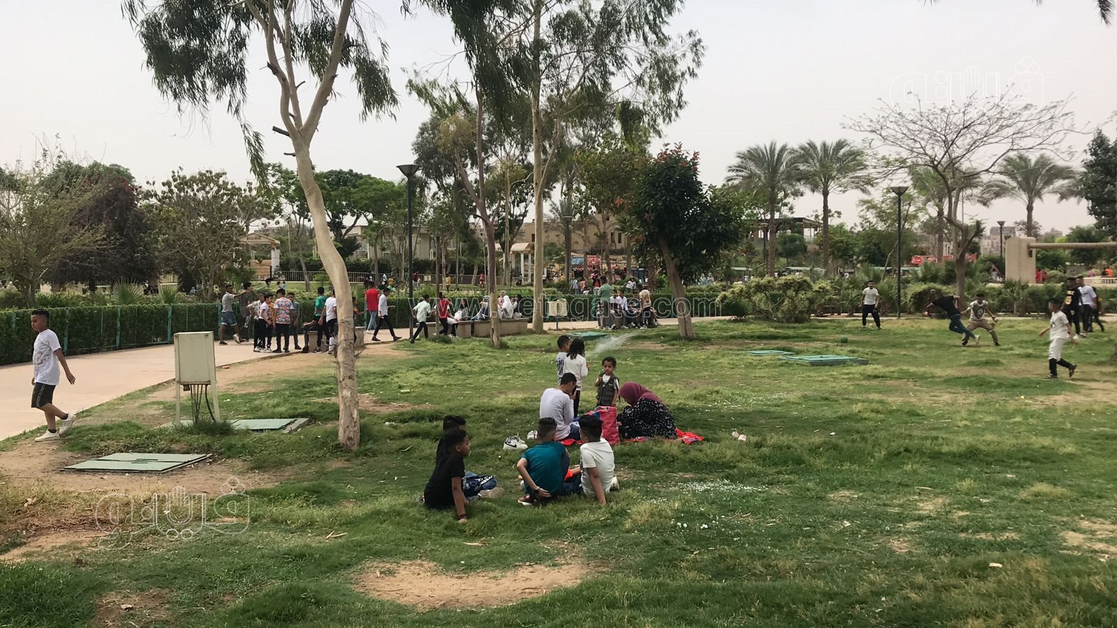 العائلات يتصدرون مشهد احتفالات العيد في حديقة الجيزة (2)