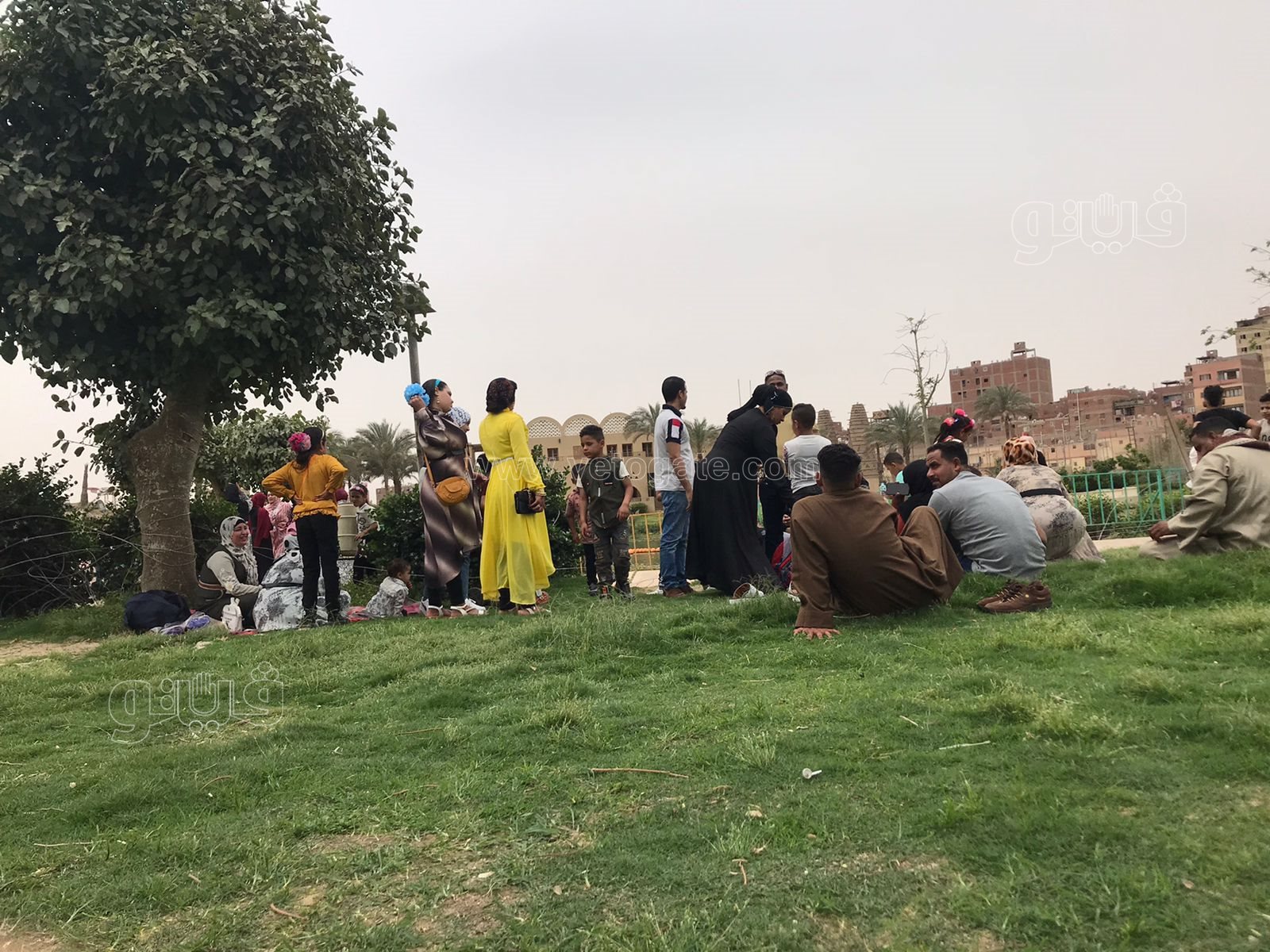 العائلات يتصدرون مشهد احتفالات العيد في حديقة الجيزة (3)