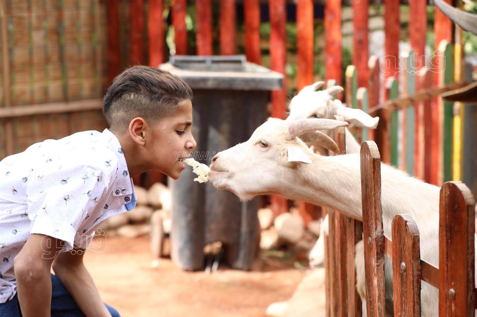 أحتفال عيد الفطر في قرية الطفل (1)