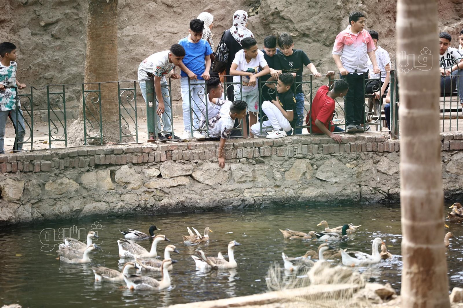 أحتفال عيد الفطر في قرية الطفل (2)