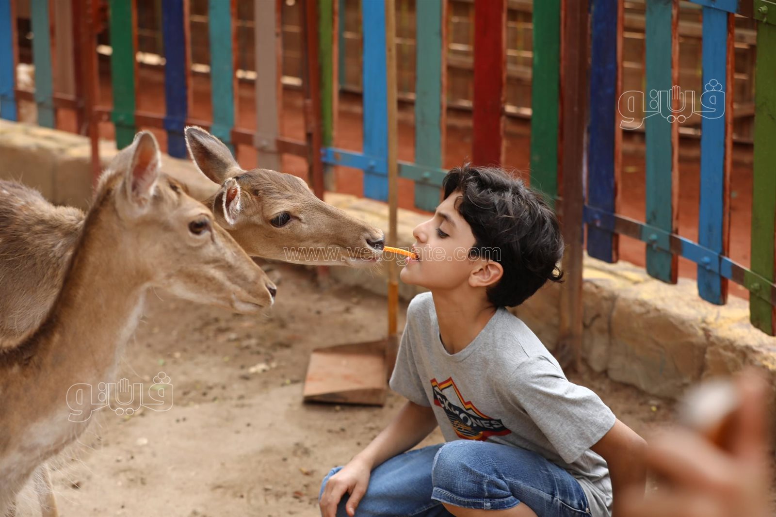 أحتفال عيد الفطر في قرية الطفل (4)
