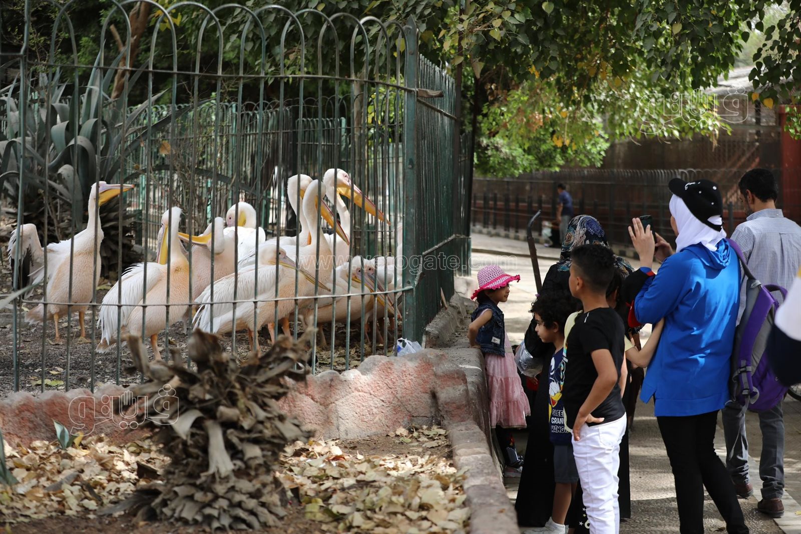 أحتفال عيد الفطر في قرية الطفل (9)