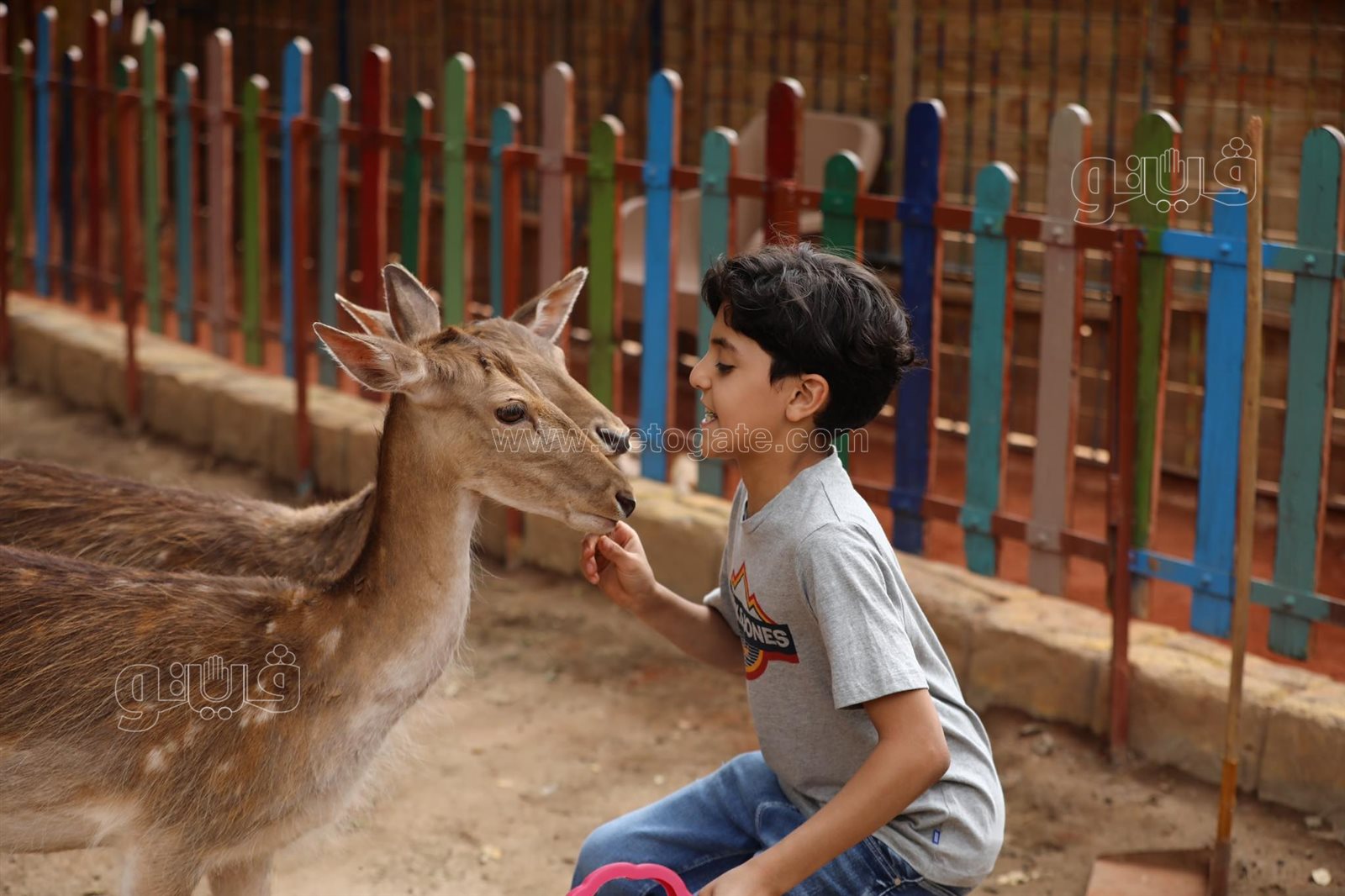 أحتفال عيد الفطر في قرية الطفل (11)