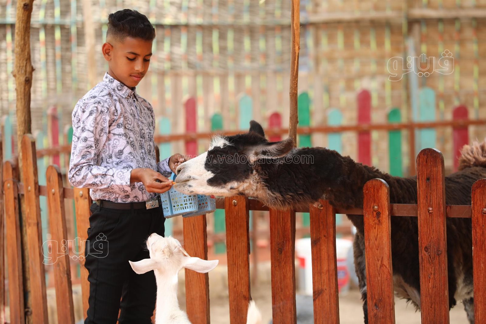 أحتفال عيد الفطر في قرية الطفل (13)