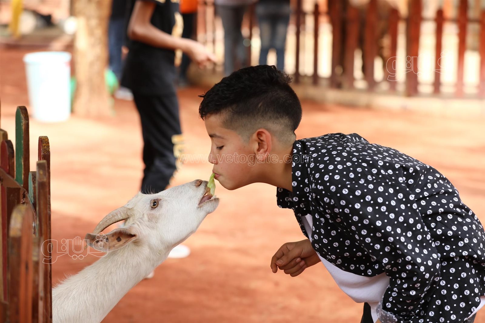أحتفال عيد الفطر في قرية الطفل (16)