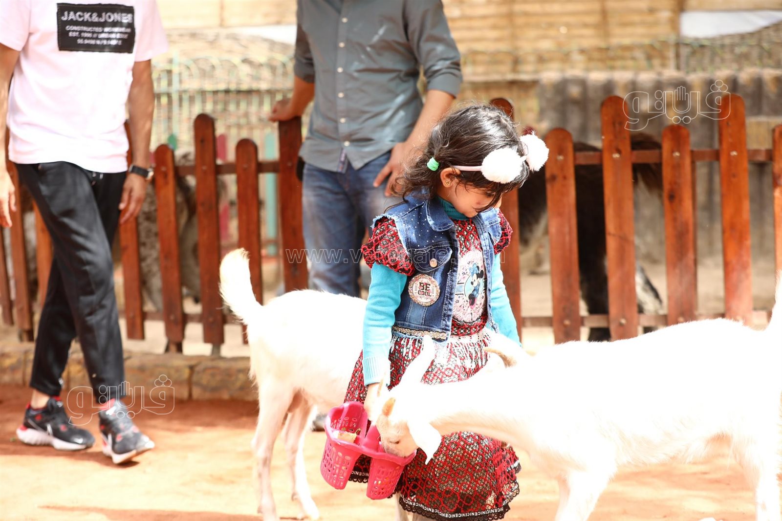 أحتفال عيد الفطر في قرية الطفل (20)