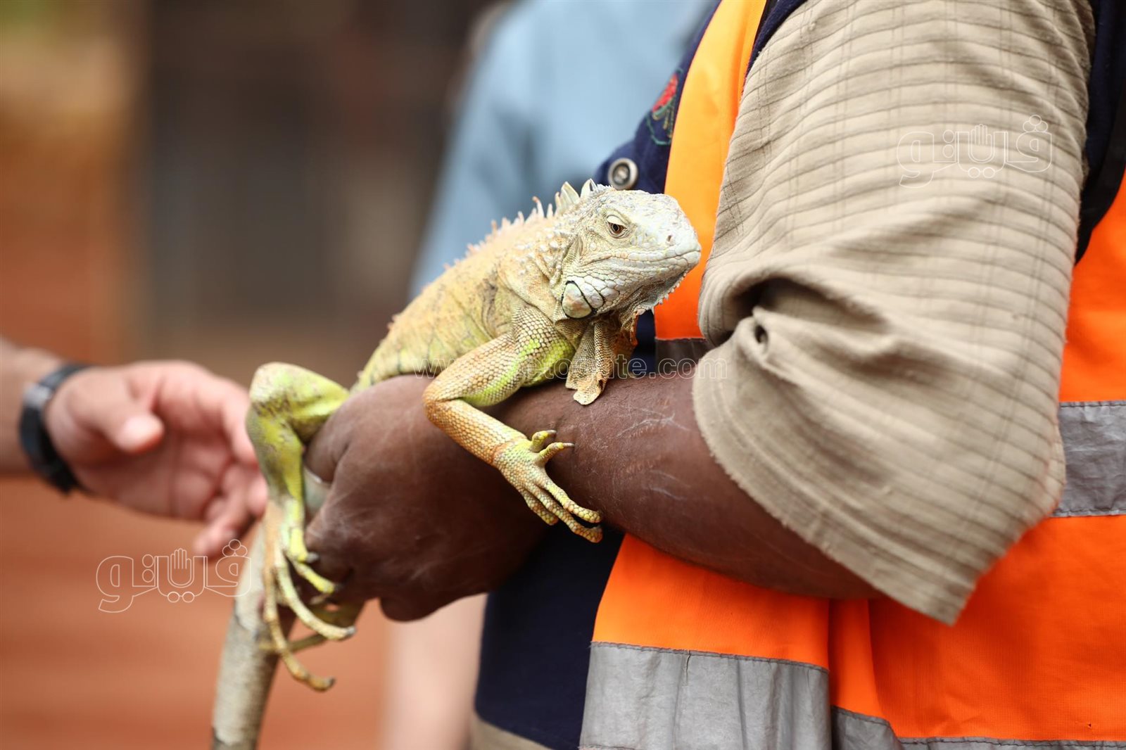 أحتفال عيد الفطر في قرية الطفل (21)