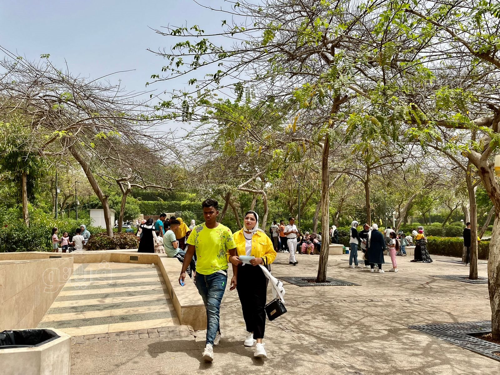 حديقة الأزهر بارك (5)
