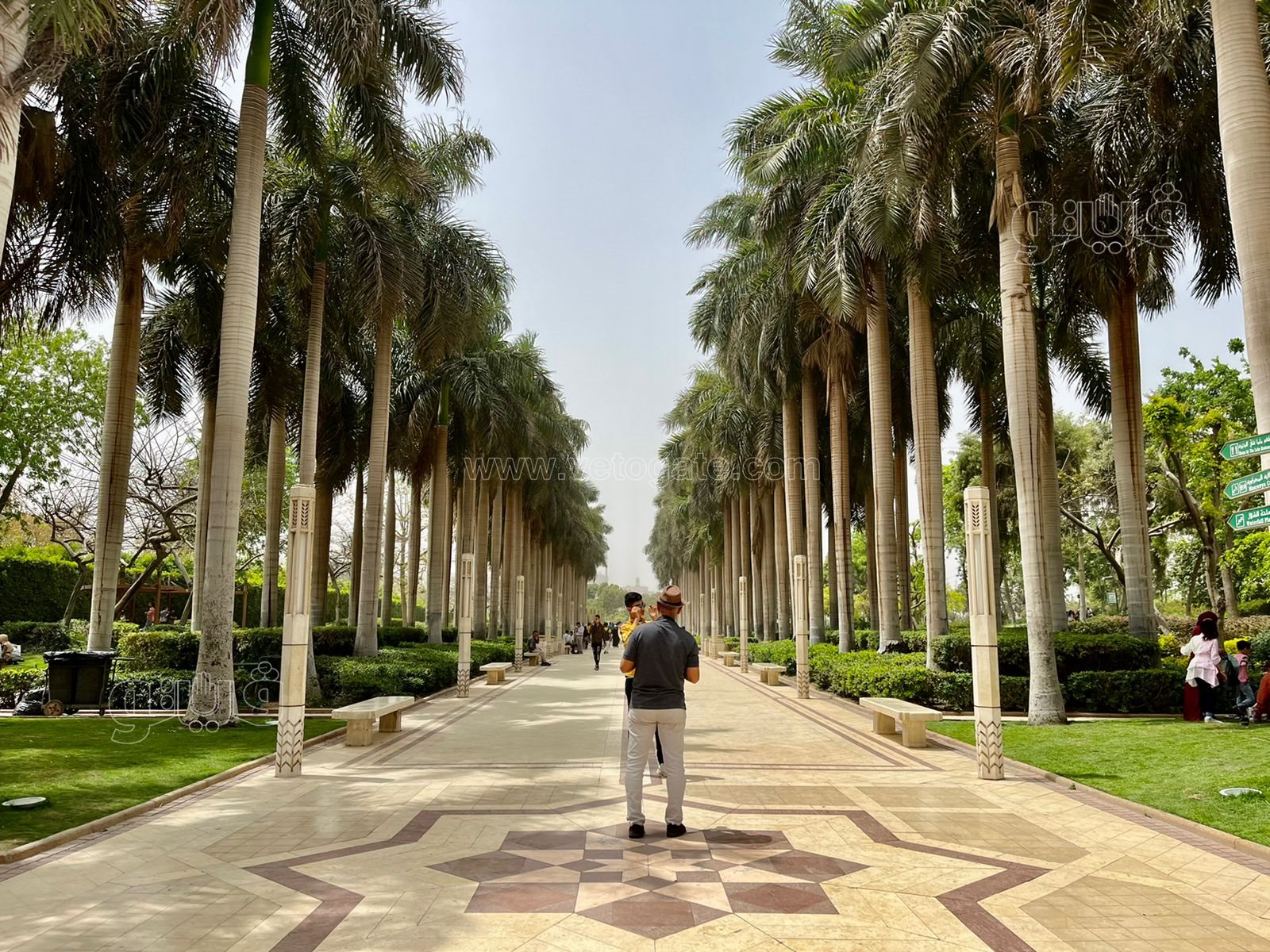 حديقة الأزهر بارك (6)