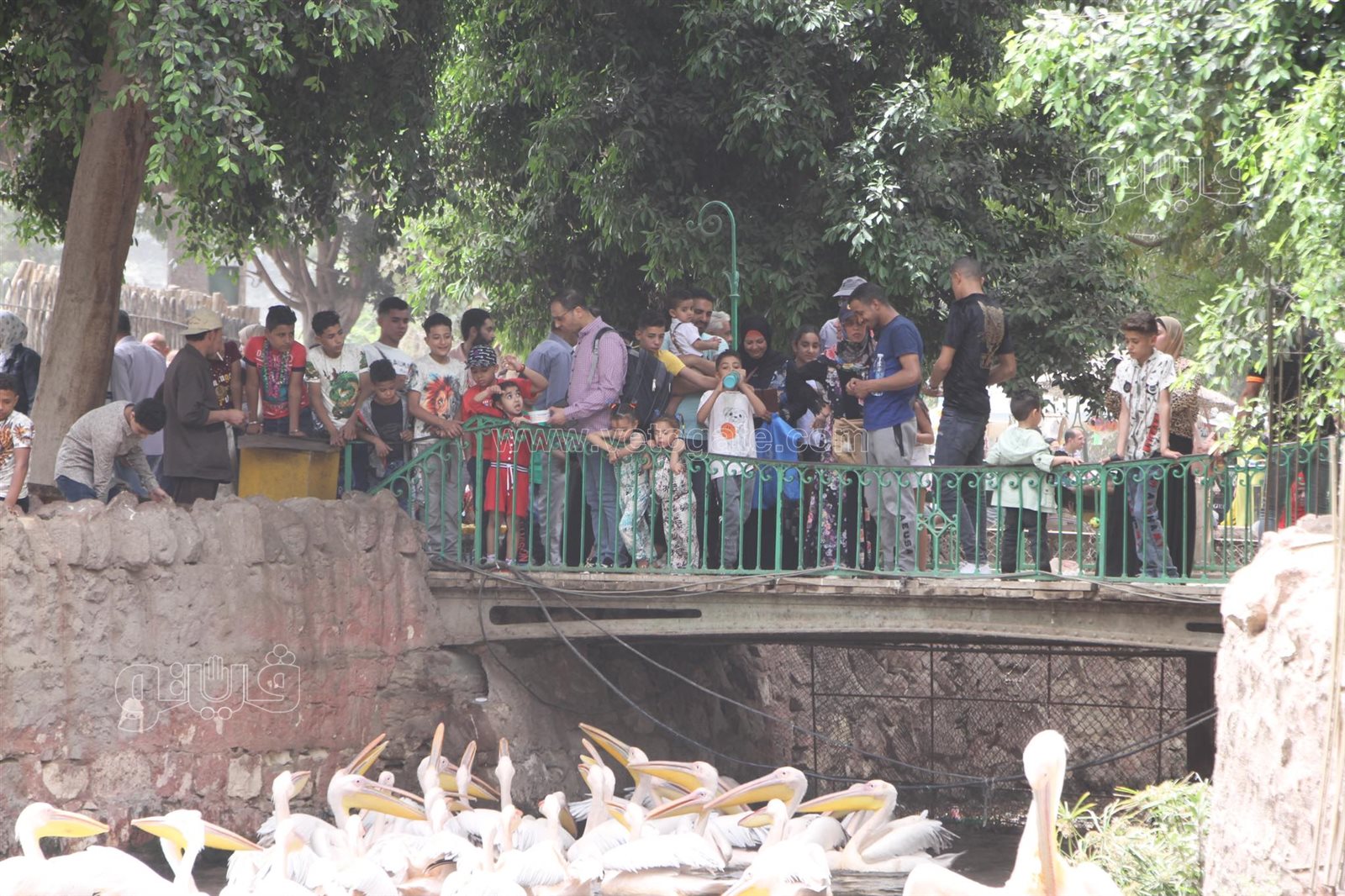 زحام شديد من المواطنين على حديقة الحيوان في العيد (1)