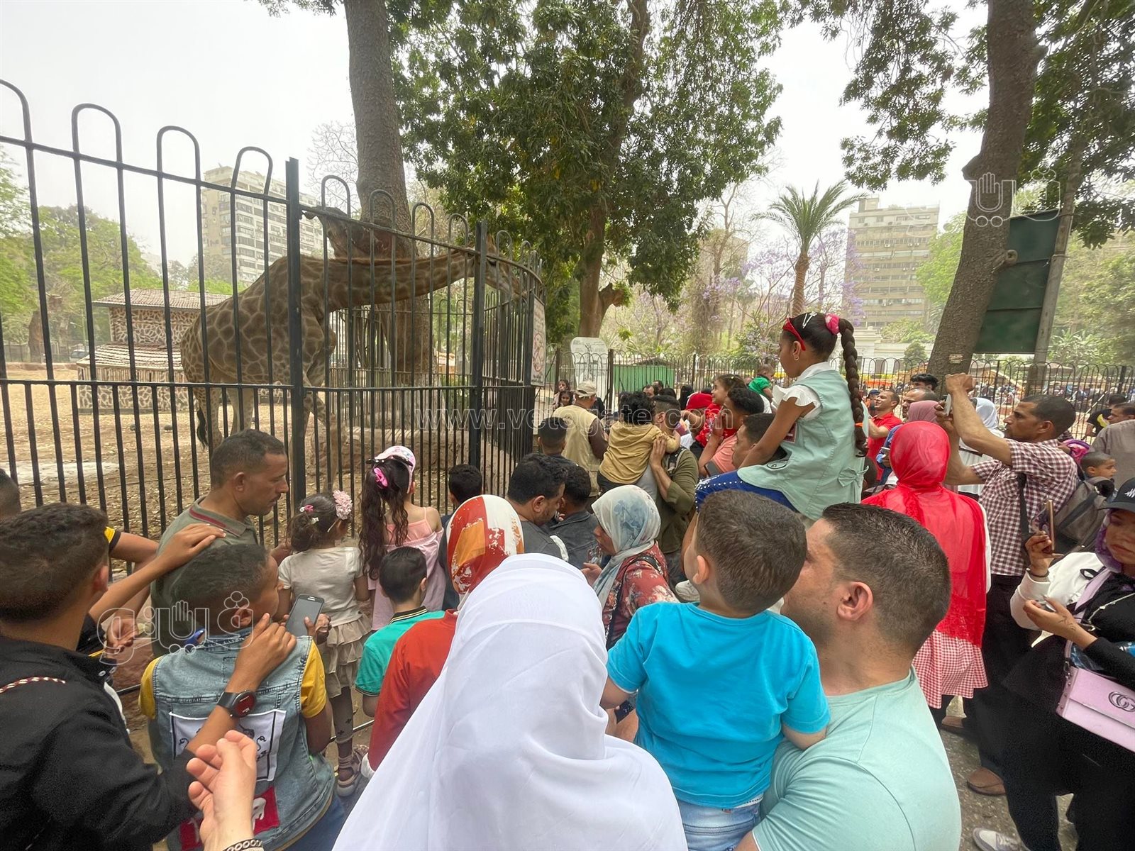 زحام شديد من المواطنين على حديقة الحيوان في العيد (2)