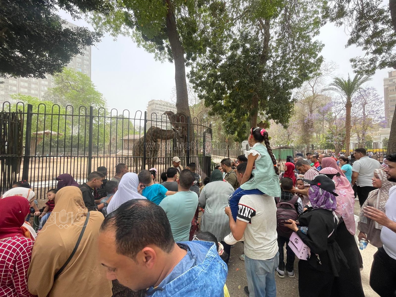 زحام شديد من المواطنين على حديقة الحيوان في العيد (5)