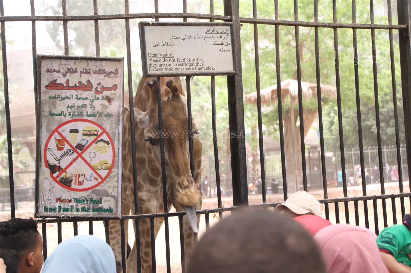 زحام شديد من المواطنين على حديقة الحيوان في العيد (7)