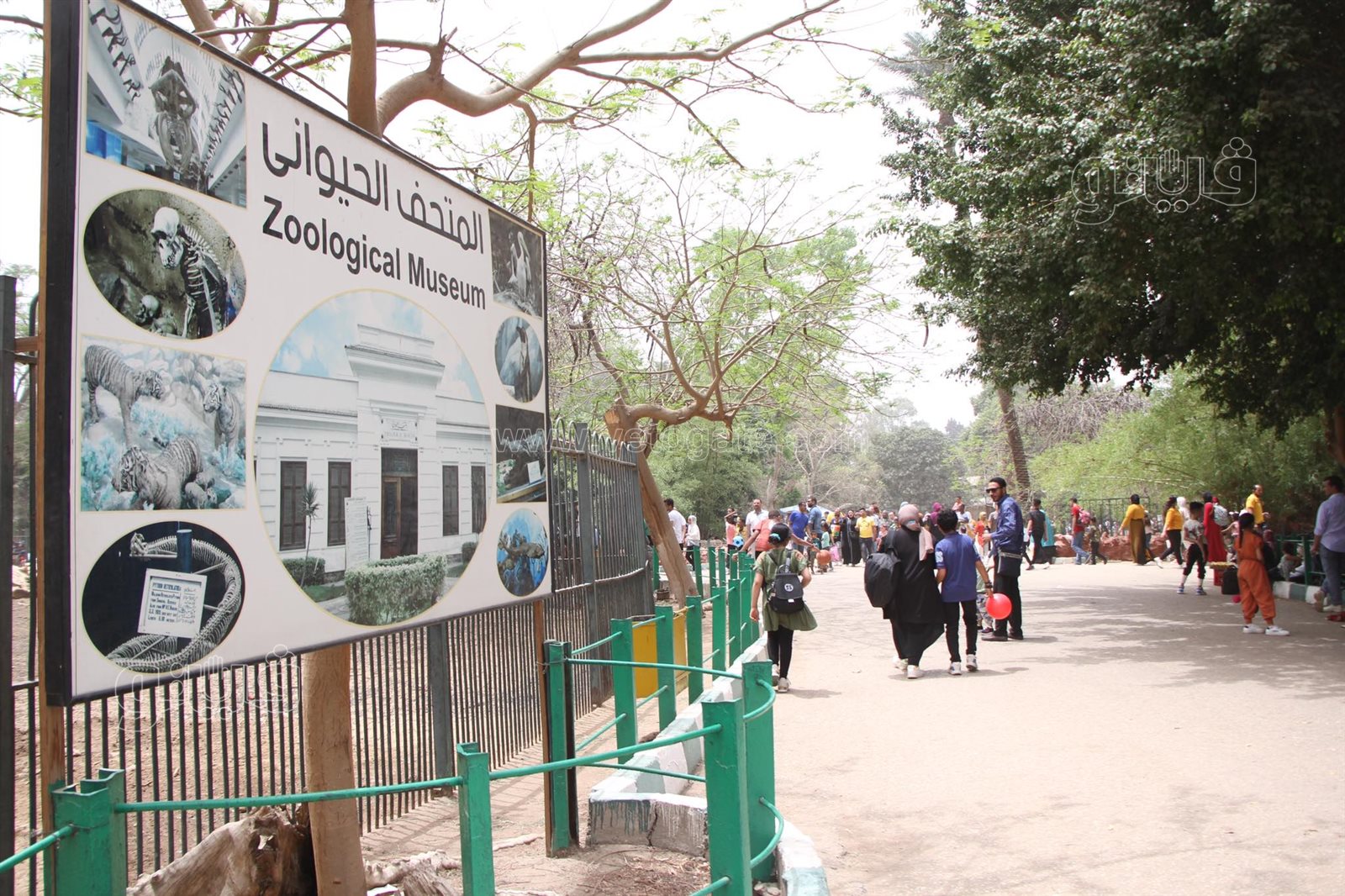 زحام شديد من المواطنين على حديقة الحيوان في العيد (14)