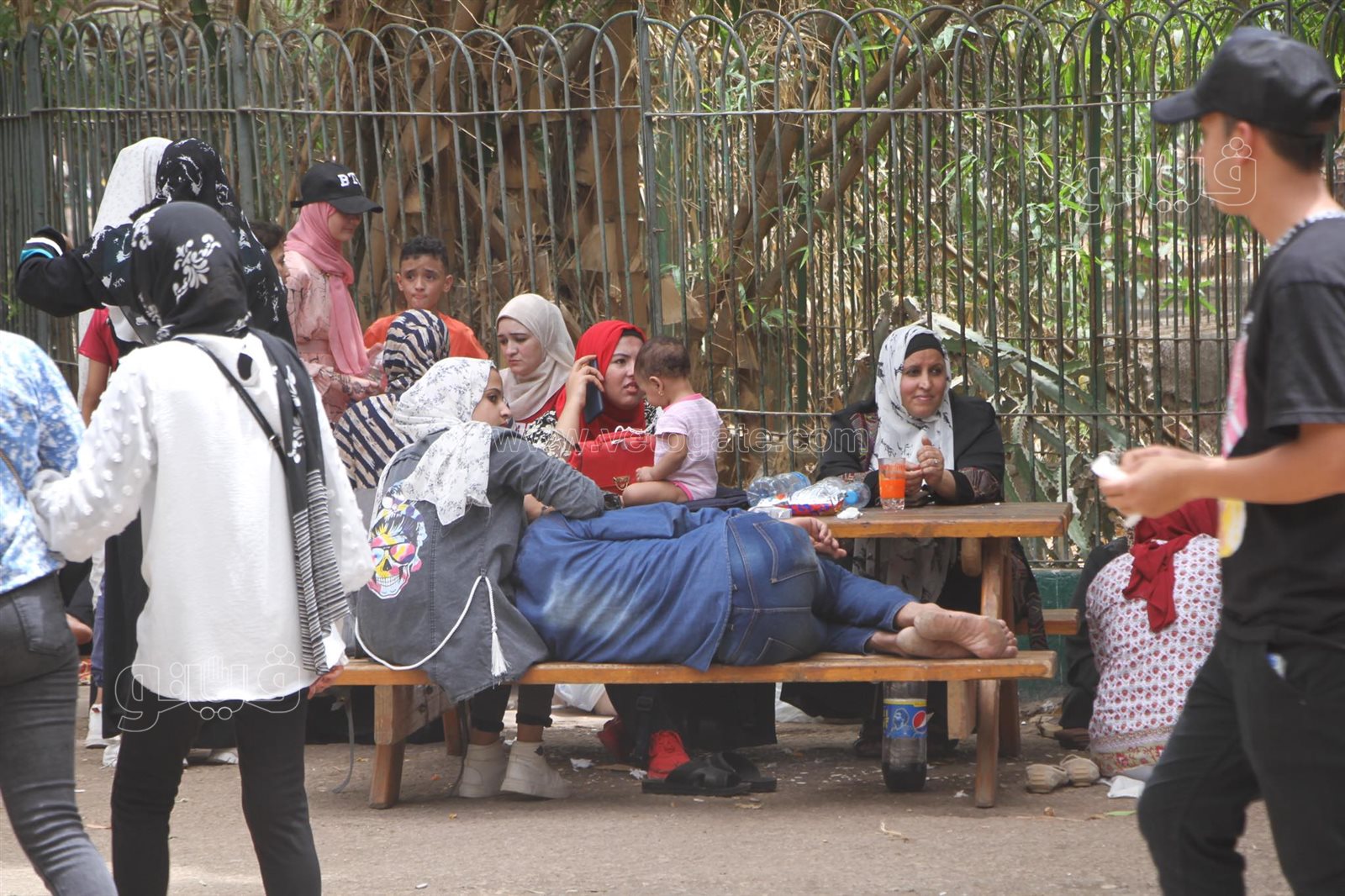 زحام شديد من المواطنين على حديقة الحيوان في العيد (17)