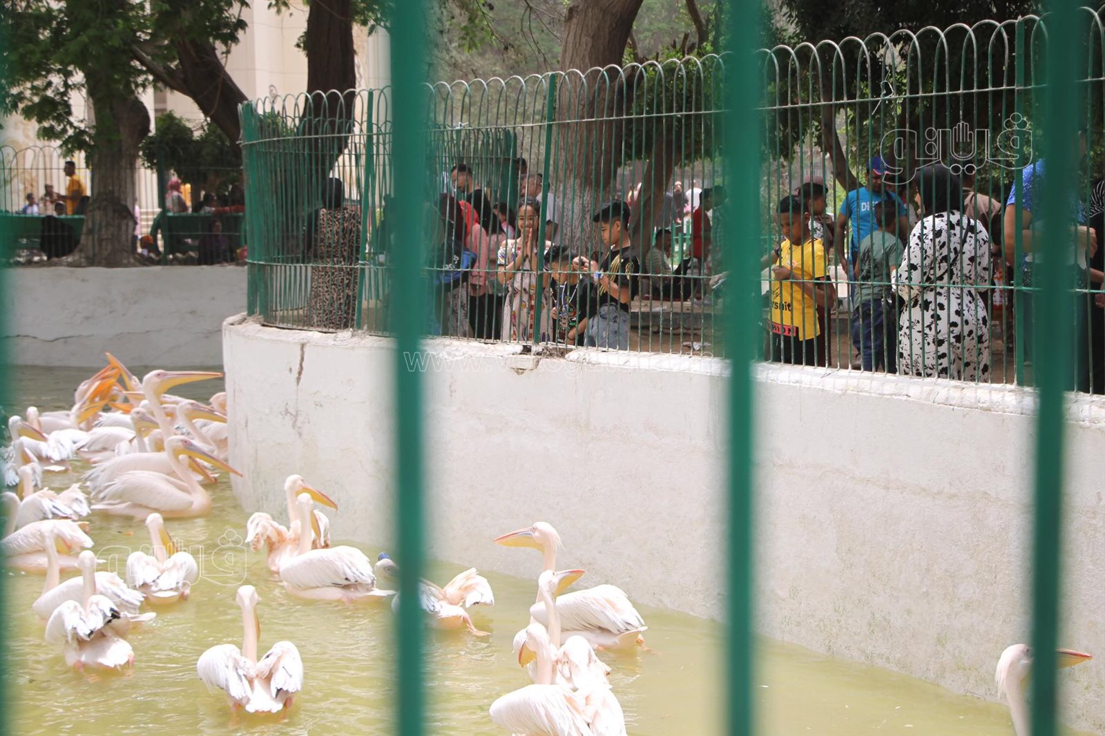 زحام شديد من المواطنين على حديقة الحيوان في العيد (24)