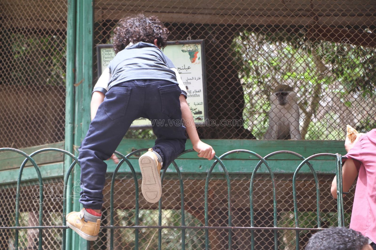 زحام شديد من المواطنين على حديقة الحيوان في العيد (26)