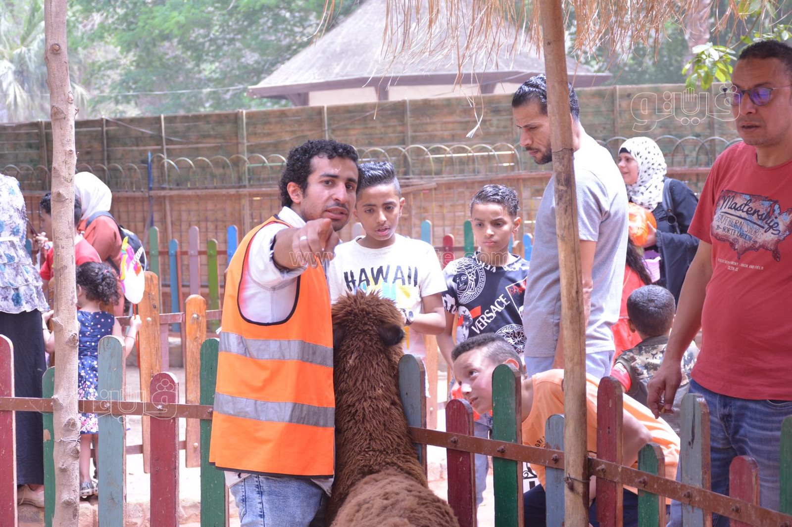إقبال كبيرعلى قرية الطفل في حديقة الحيوان (3)