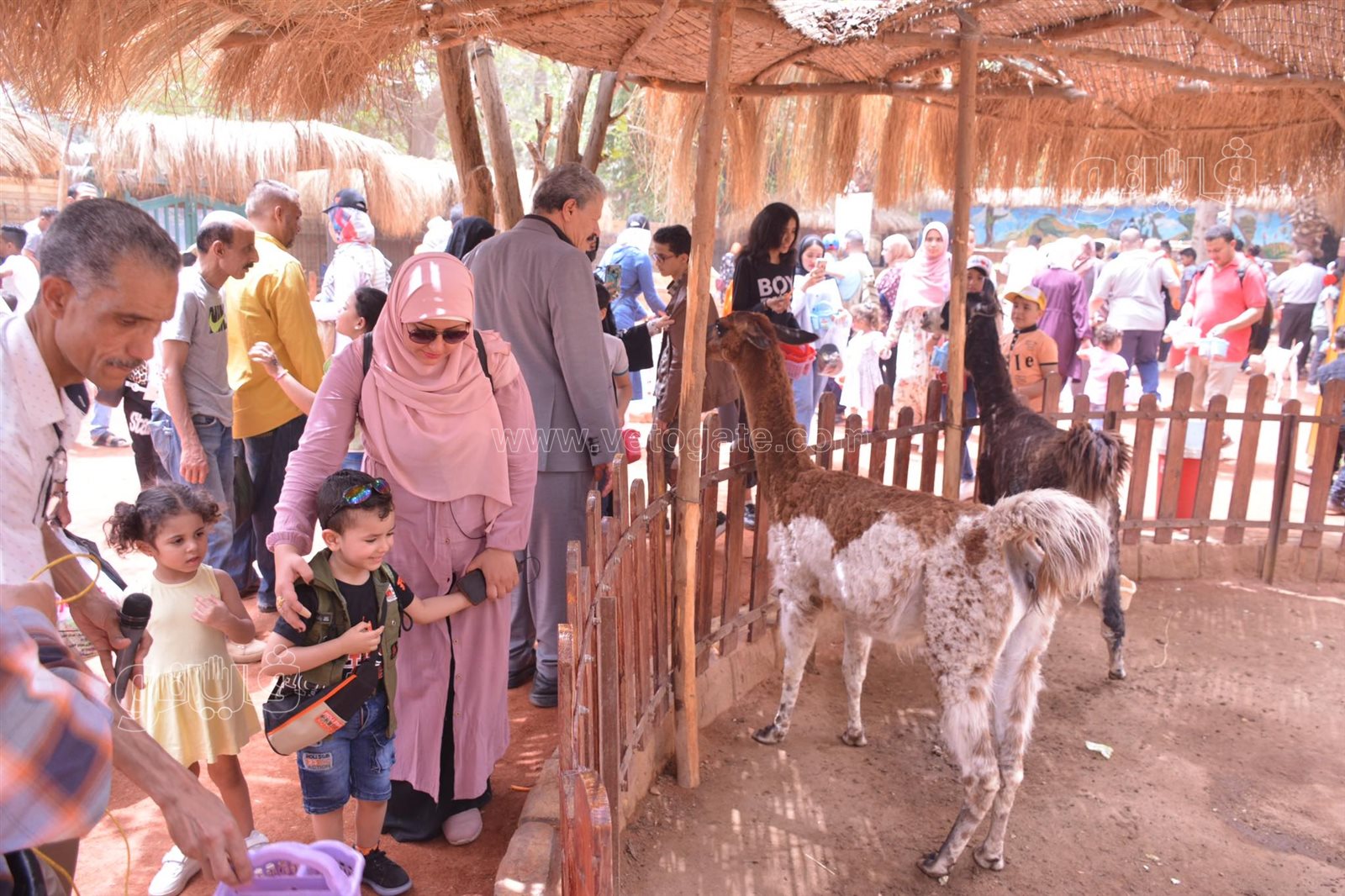إقبال كبيرعلى قرية الطفل في حديقة الحيوان (5)