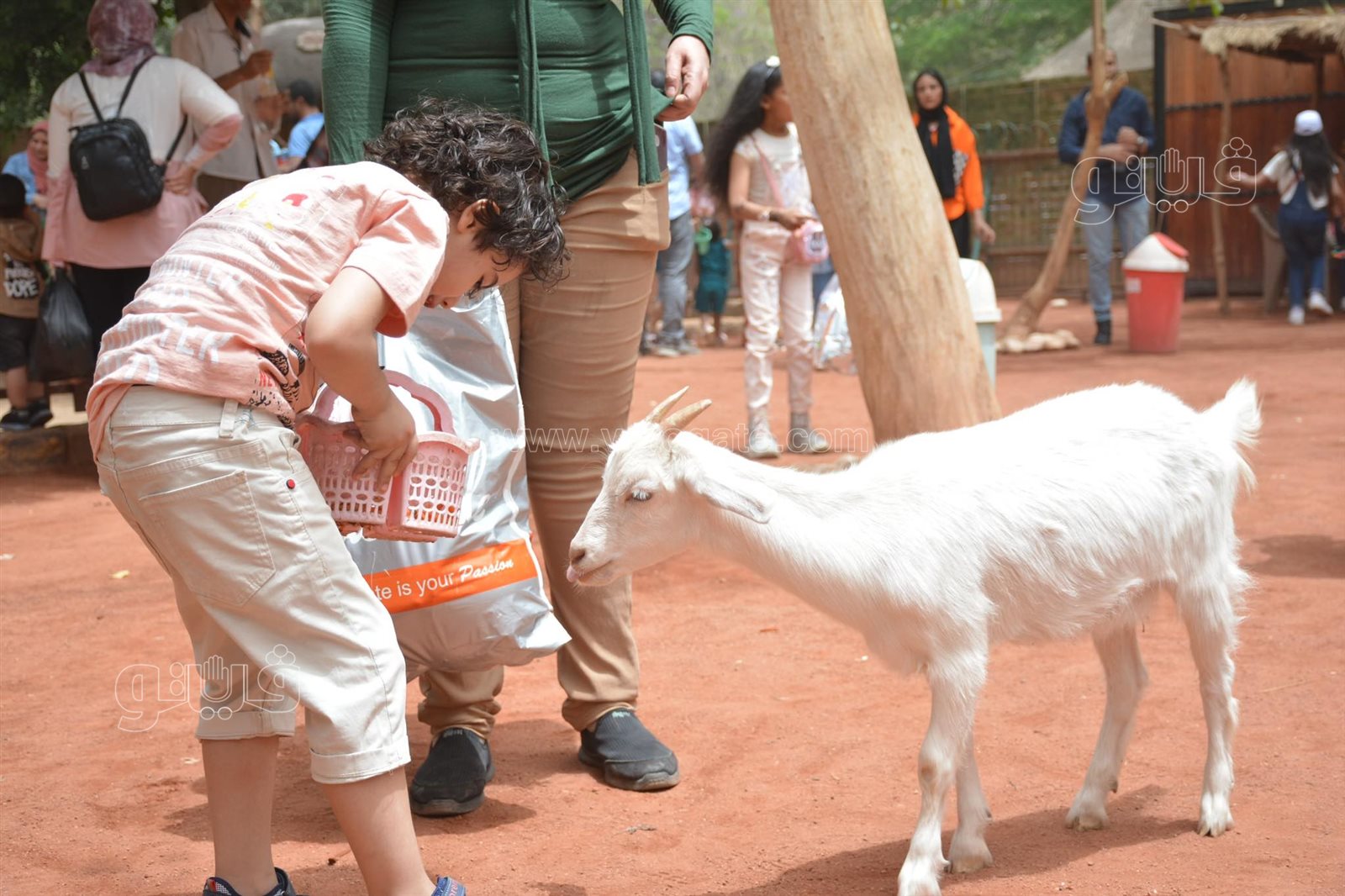 إقبال كبيرعلى قرية الطفل في حديقة الحيوان (6)