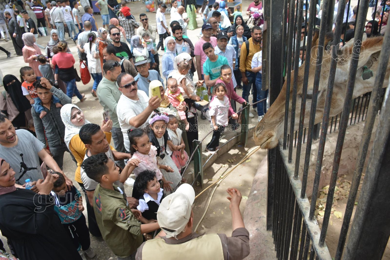 زوار حديقة الحيوان (1)