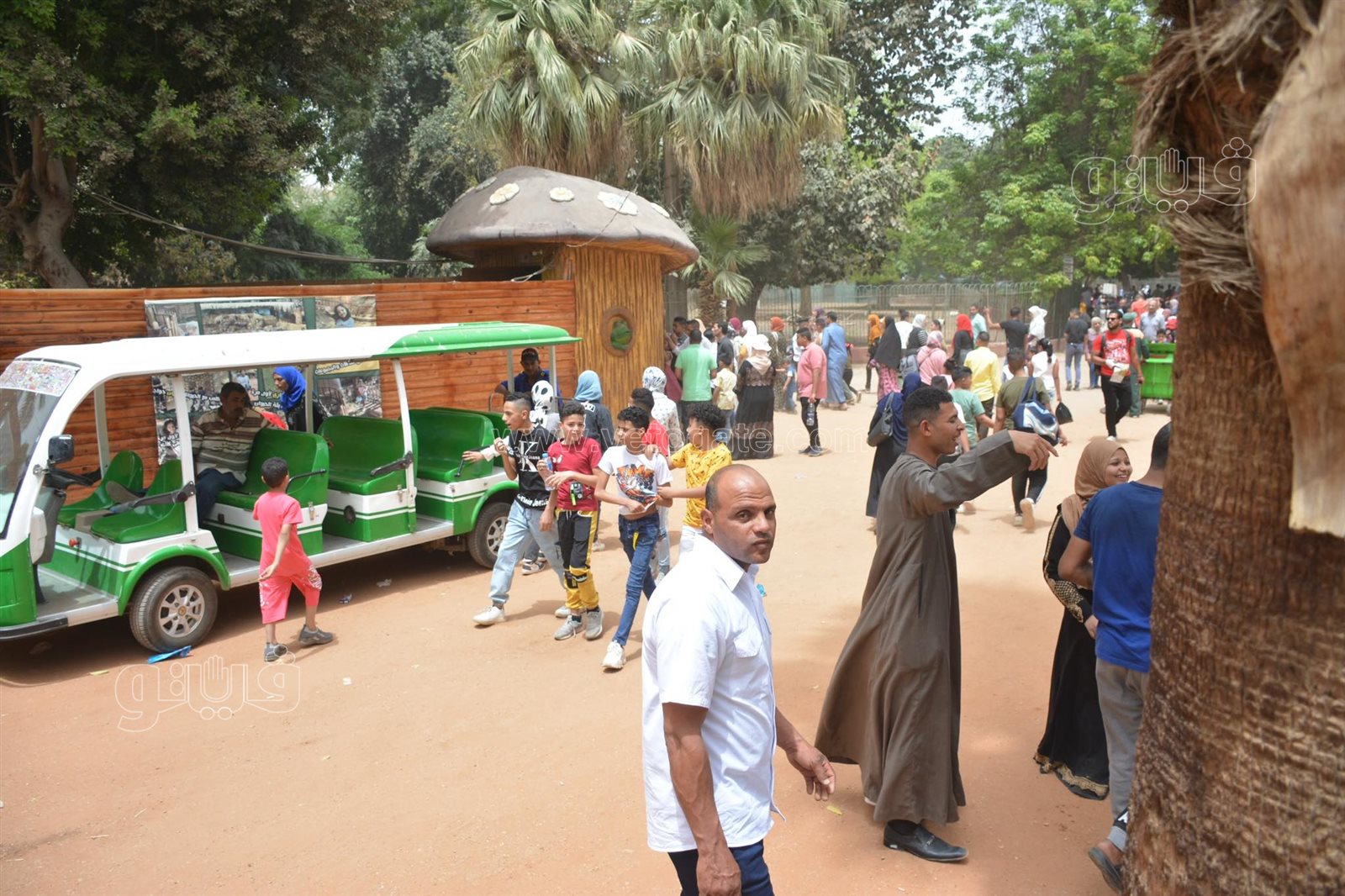 زوار حديقة الحيوان (2)