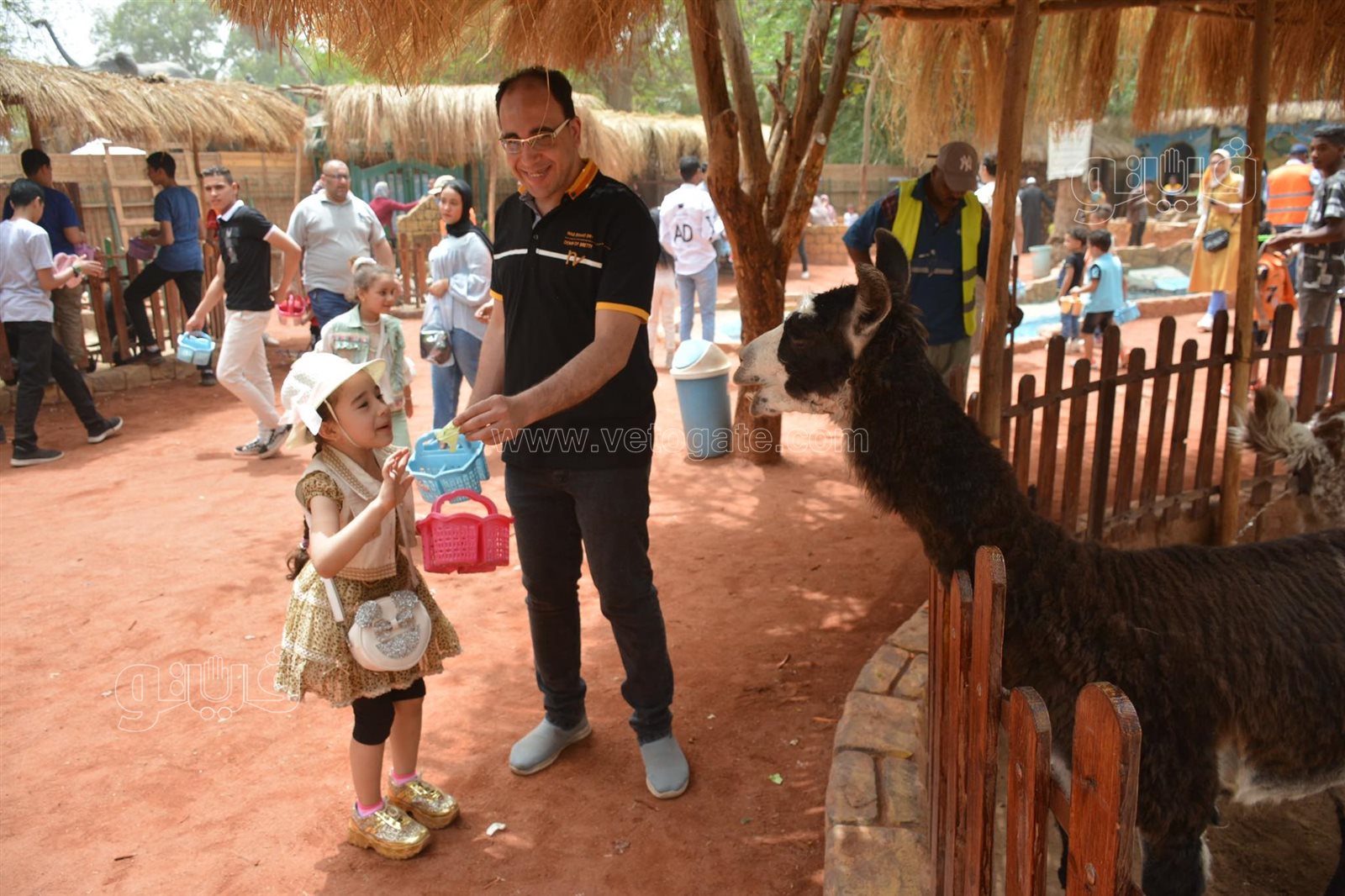 زوار حديقة الحيوان (3)