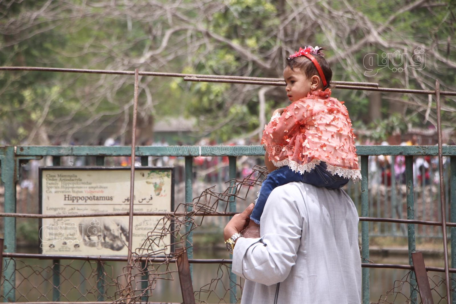 زوار حديقة الحيوان (4)