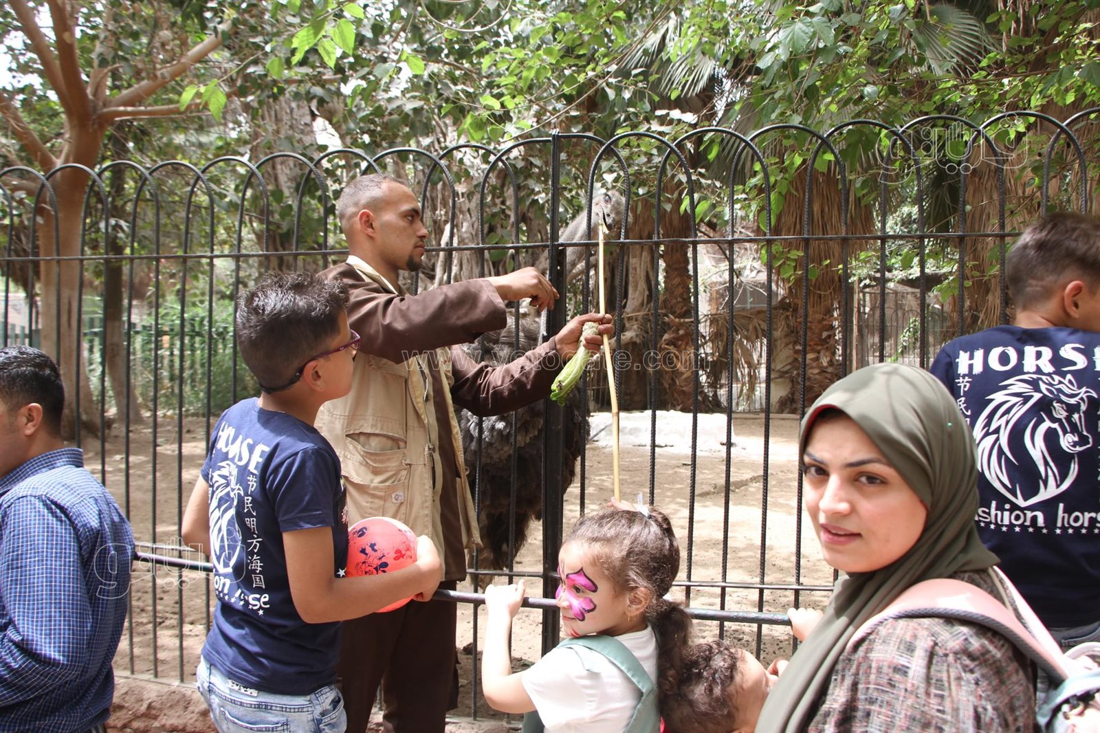 زوار حديقة الحيوان (6)