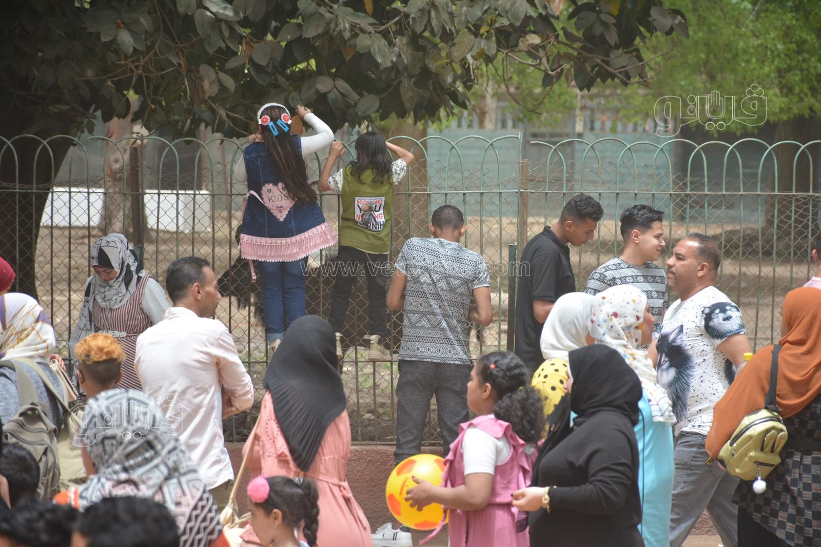 زوار حديقة الحيوان (8)