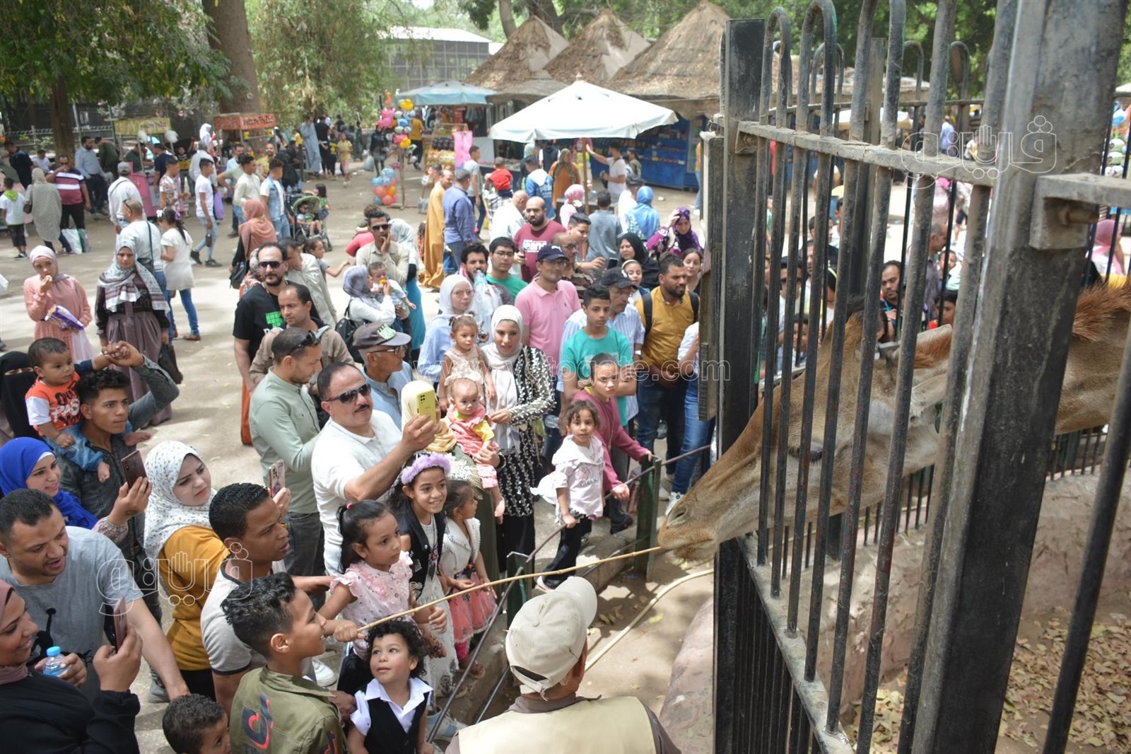 زوار حديقة الحيوان (9)