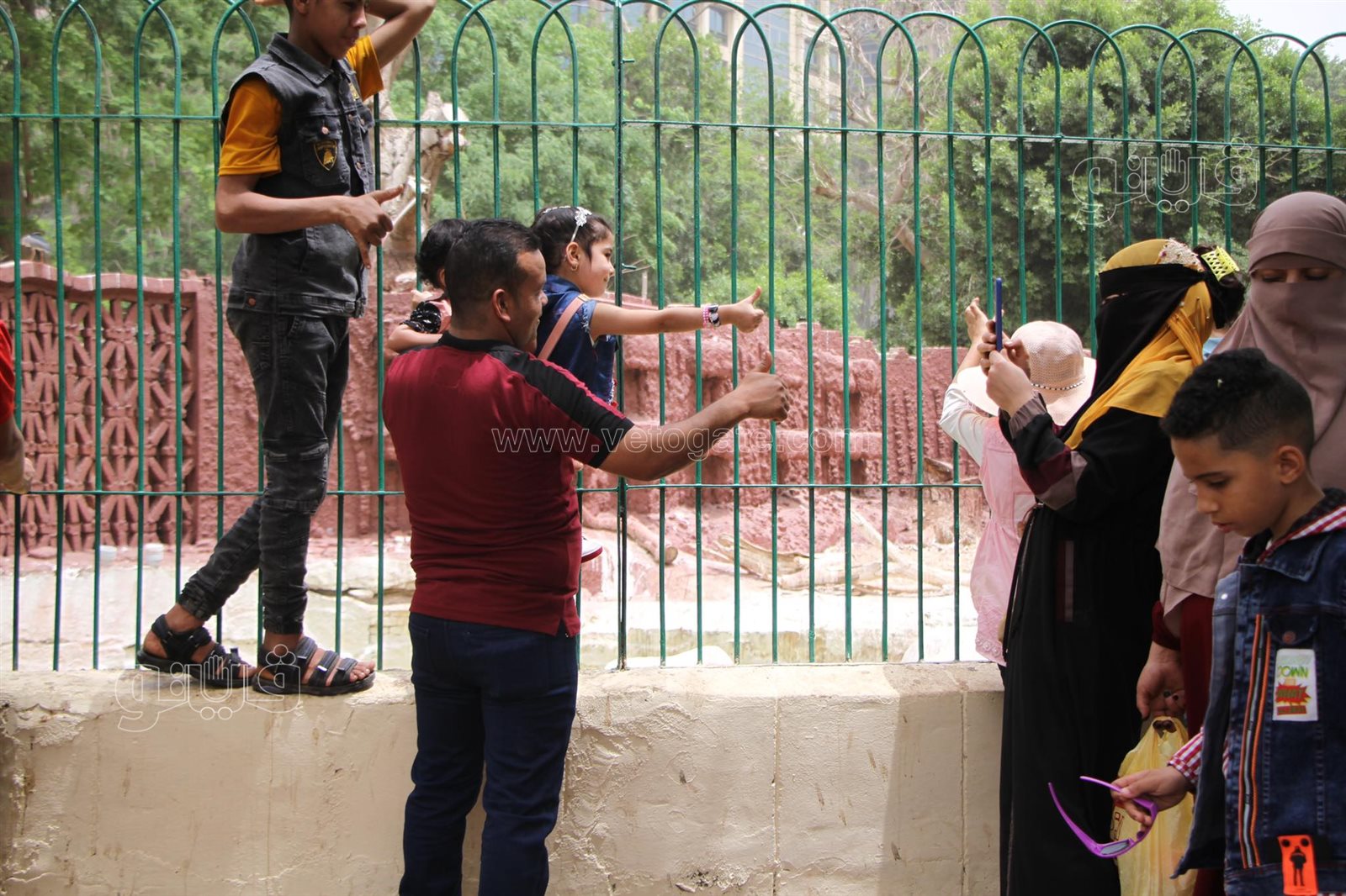 زوار حديقة الحيوان (10)