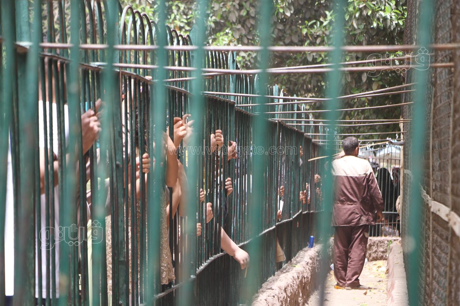 زوار حديقة الحيوان (12)