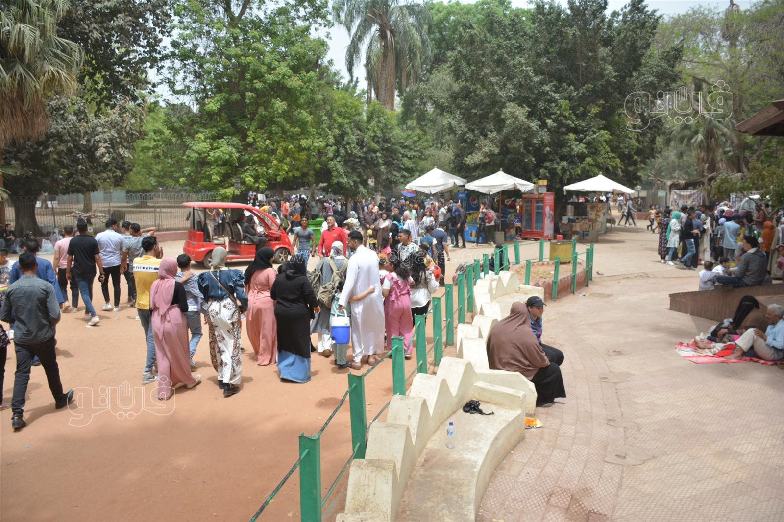 زوار حديقة الحيوان (17)