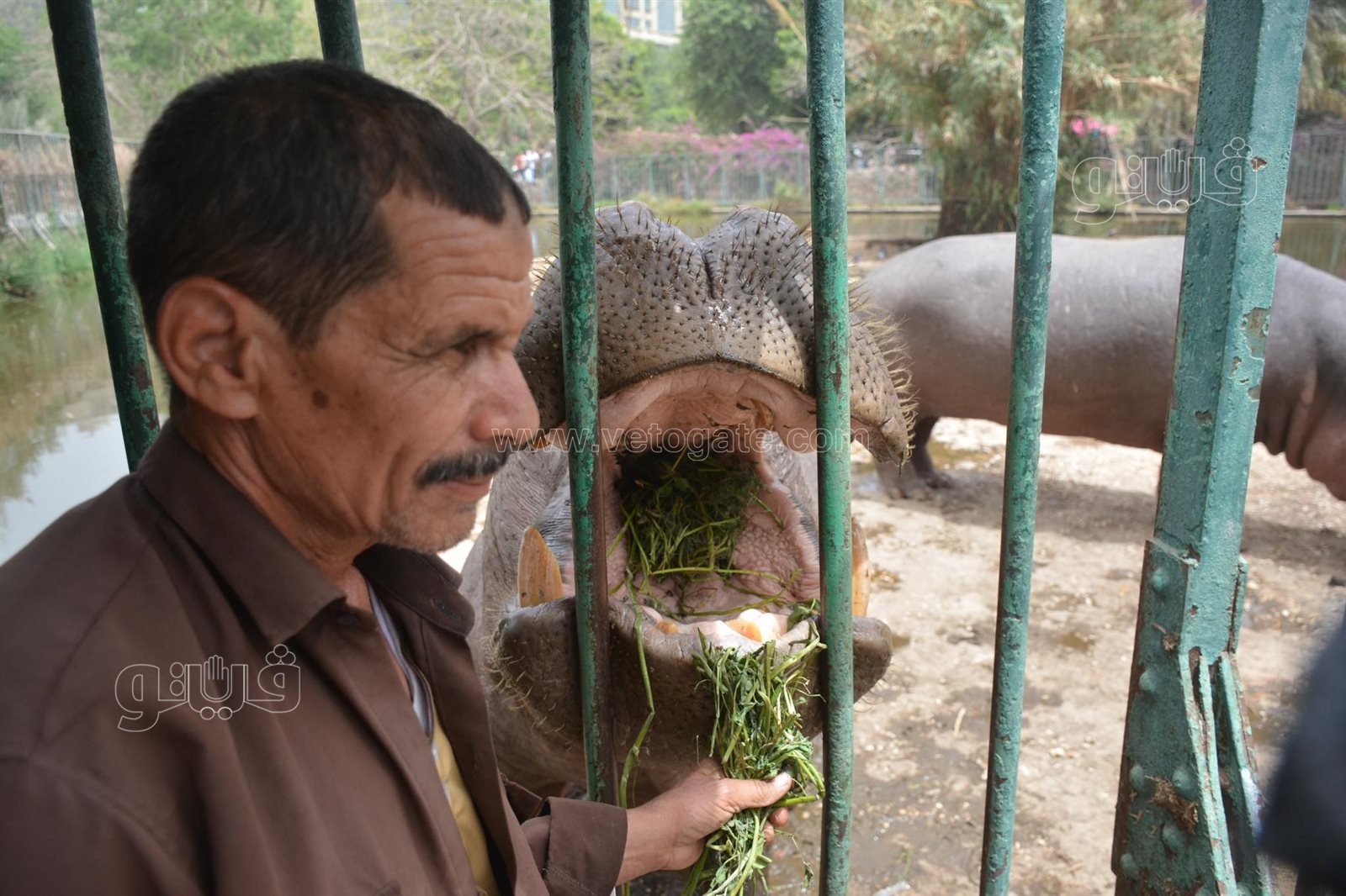 زوار حديقة الحيوان (20)