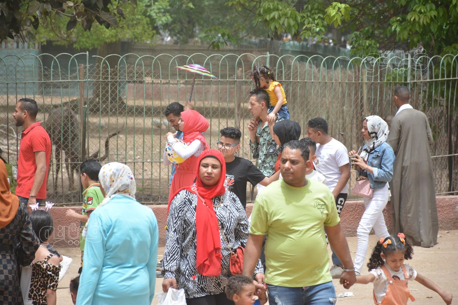 زوار حديقة الحيوان (26)