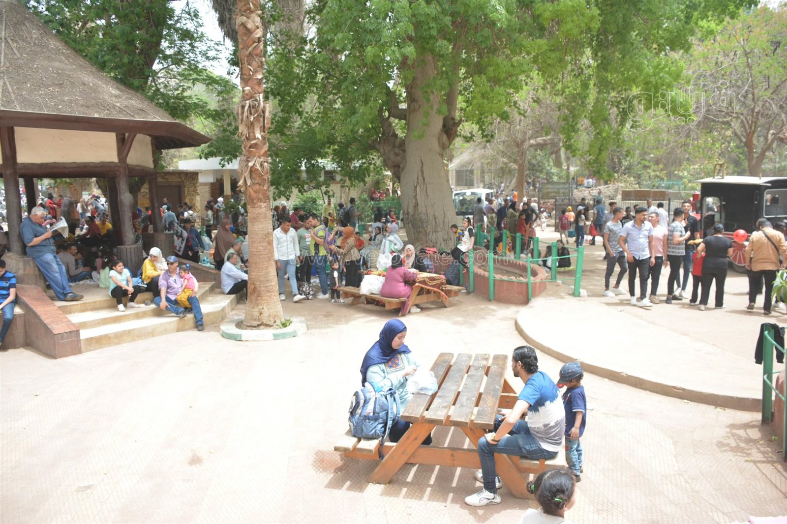 زوار حديقة الحيوان (28)