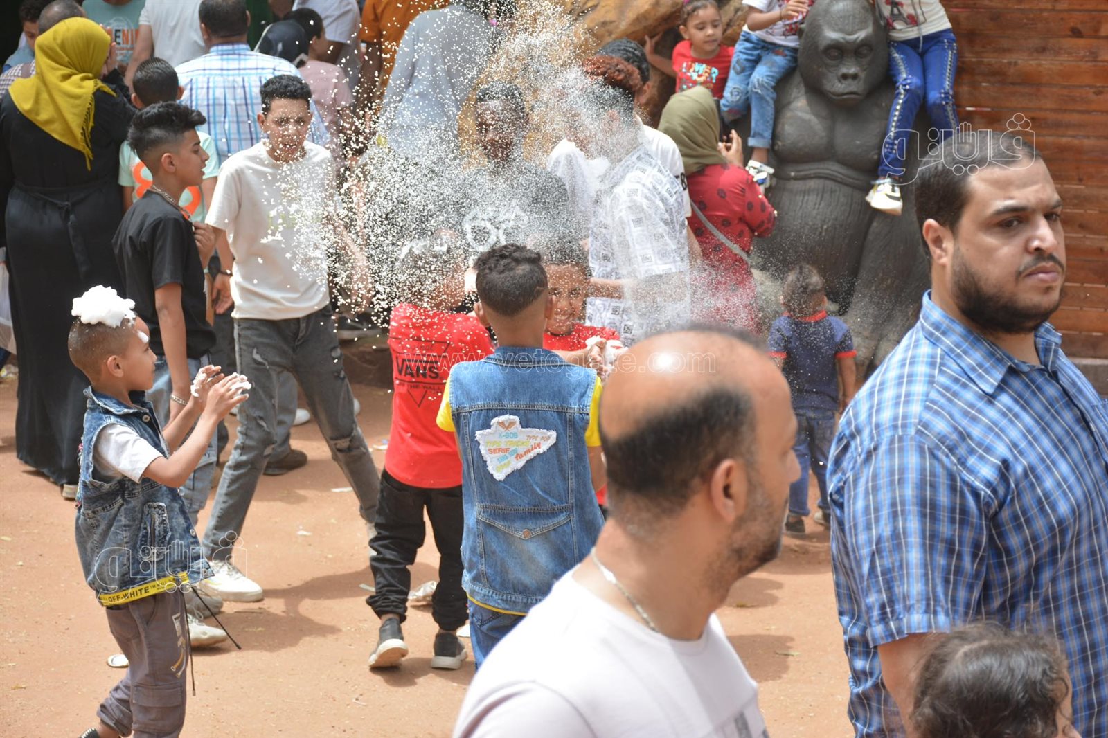 زوار حديقة الحيوان (29)