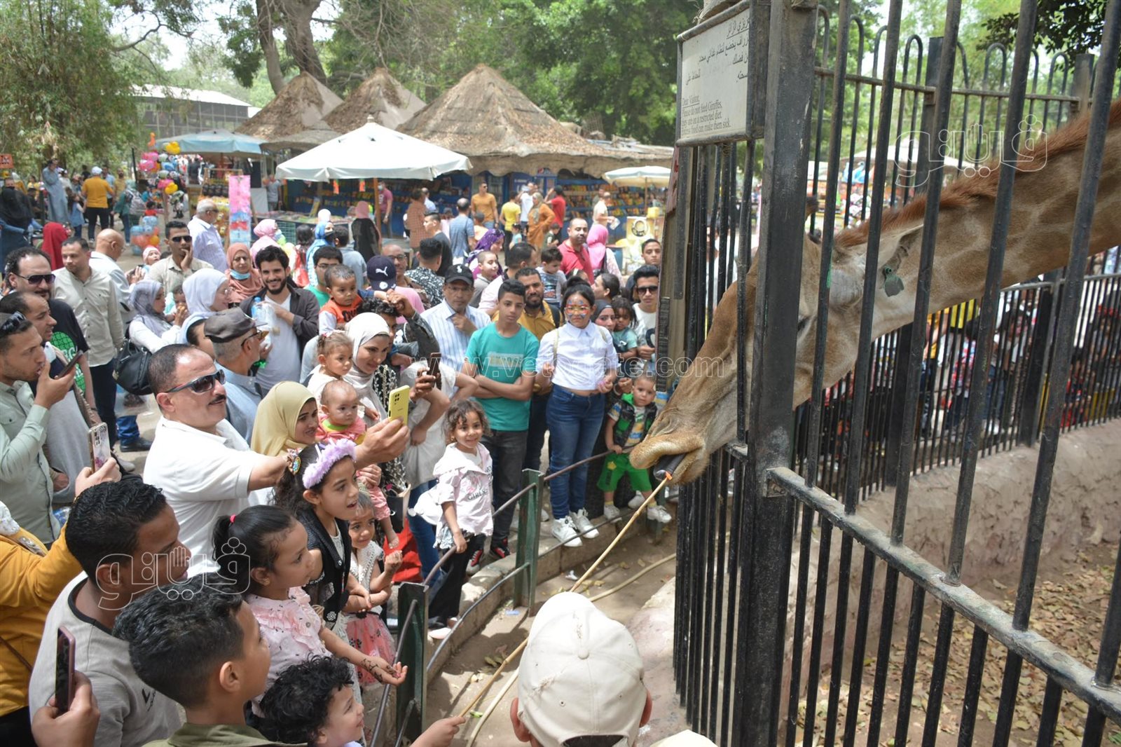 زوار حديقة الحيوان (33)