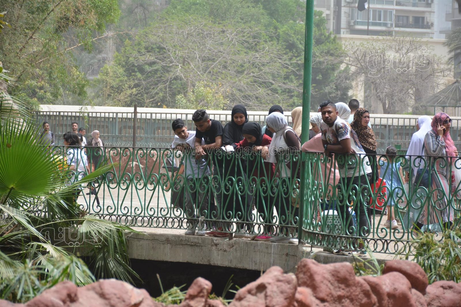 زوار حديقة الحيوان (34)