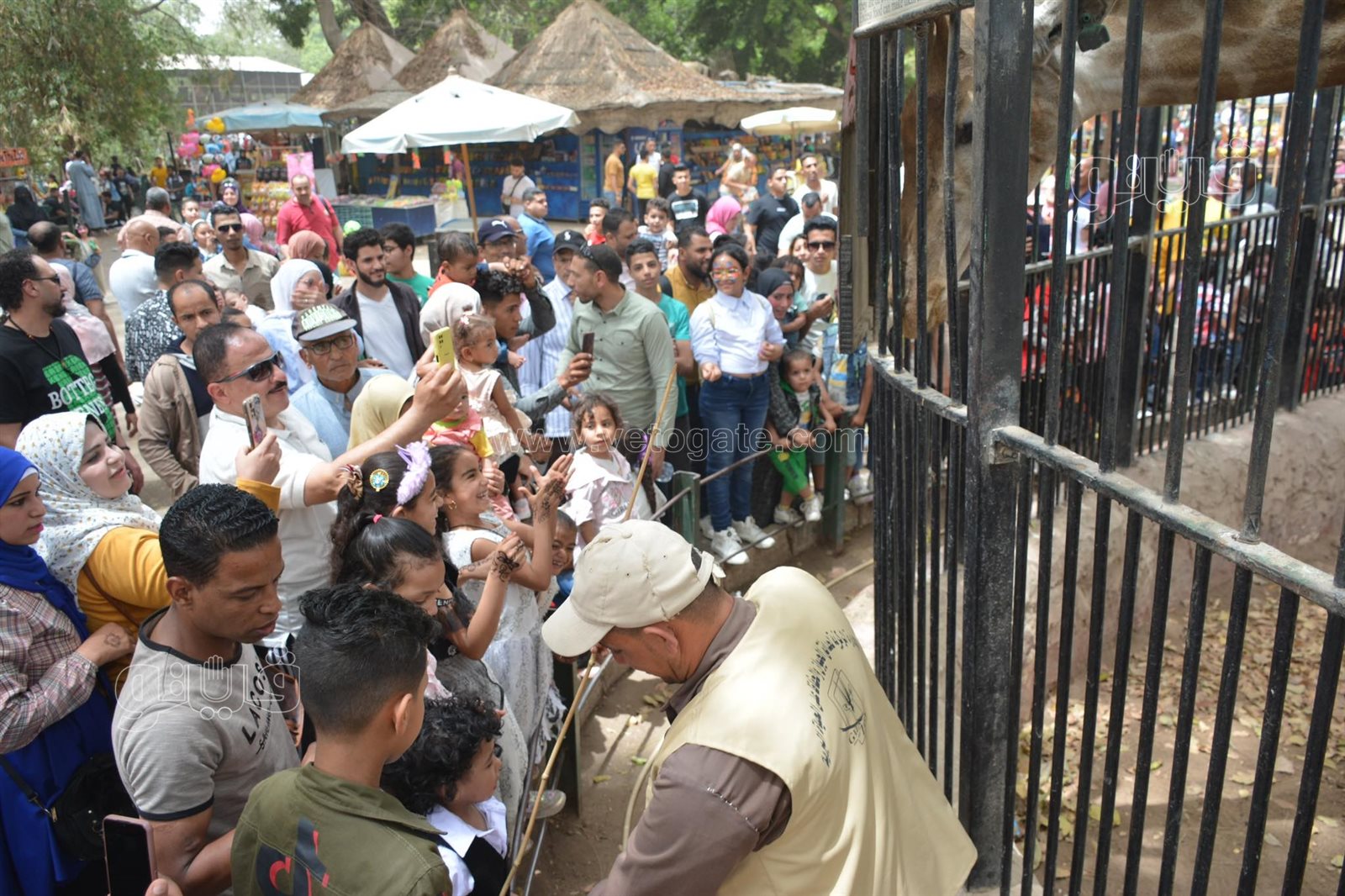 زوار حديقة الحيوان (35)