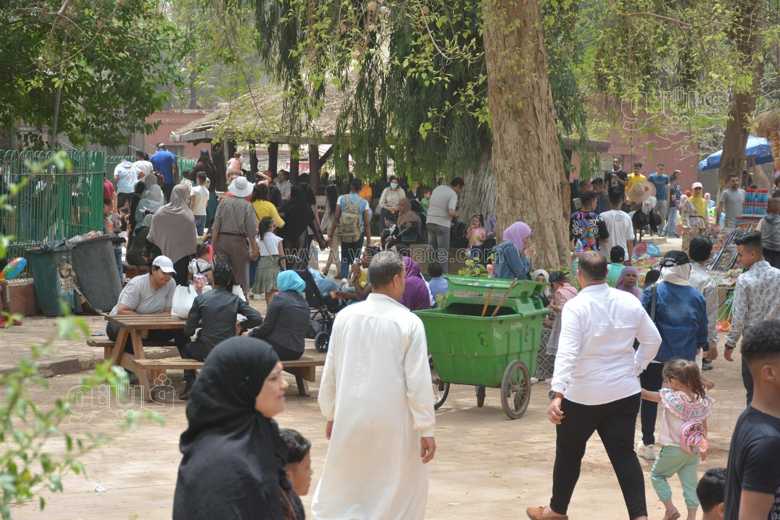 زوار حديقة الحيوان (40)