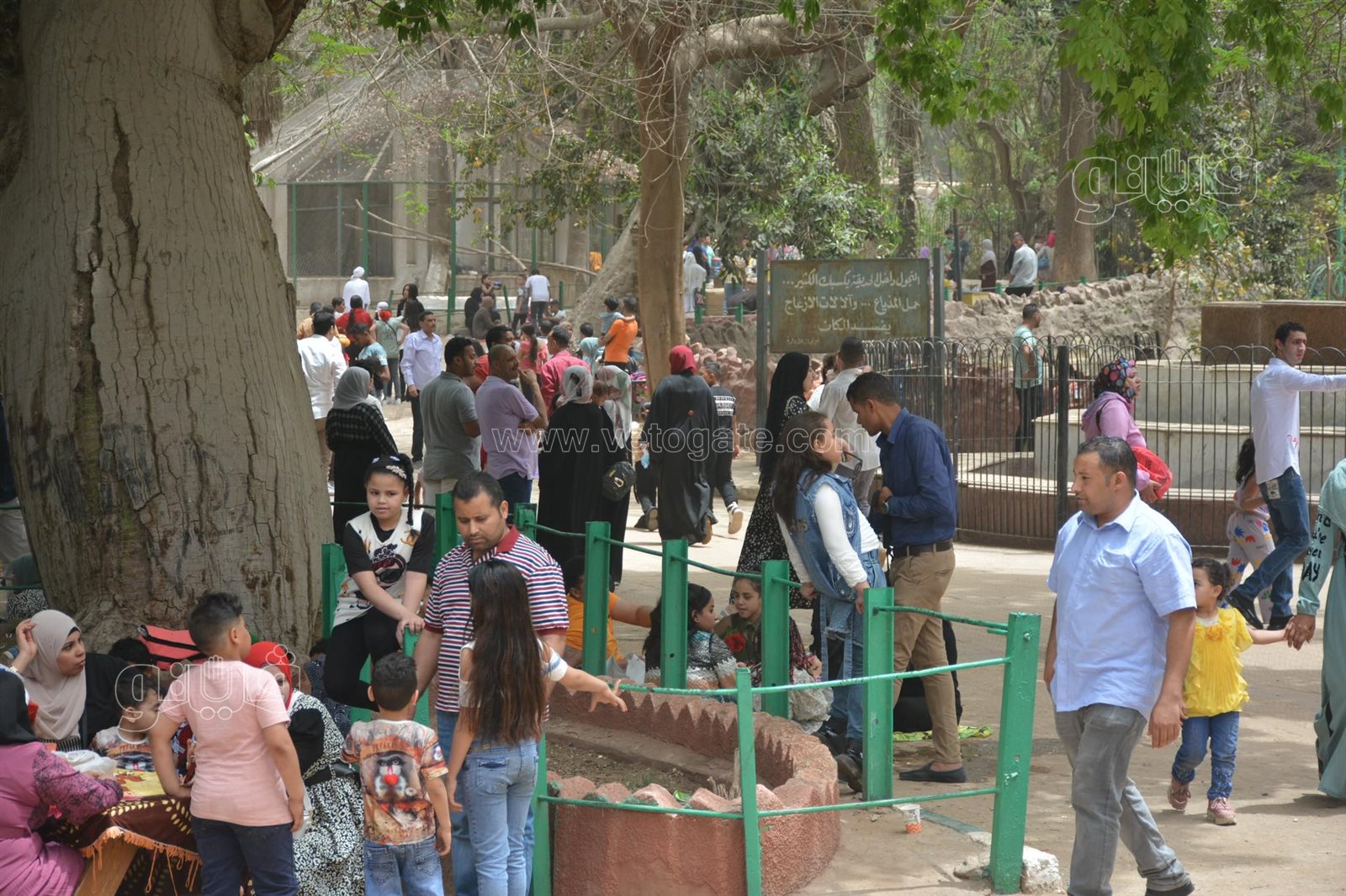 زوار حديقة الحيوان (41)