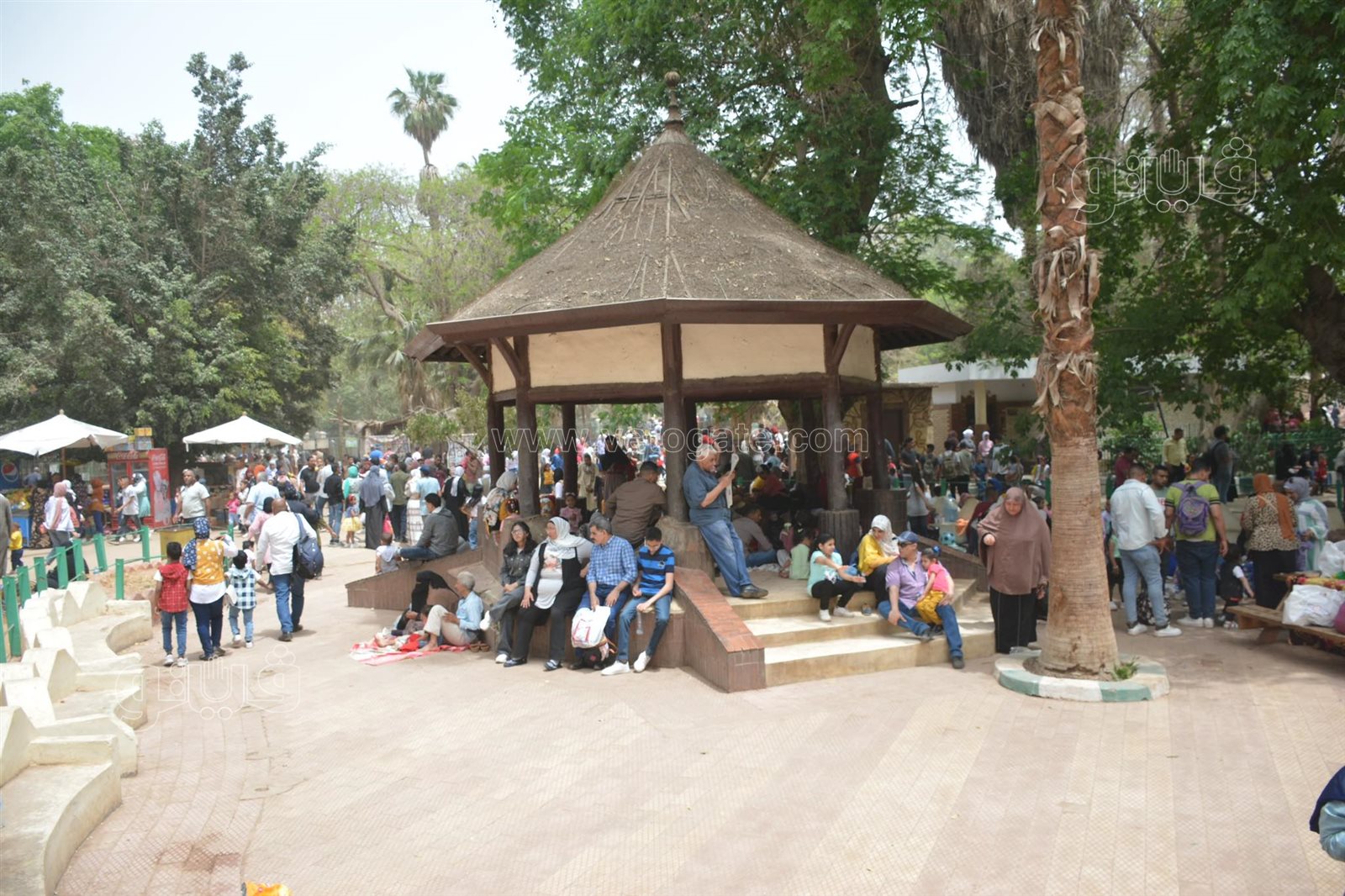 زوار حديقة الحيوان (1)