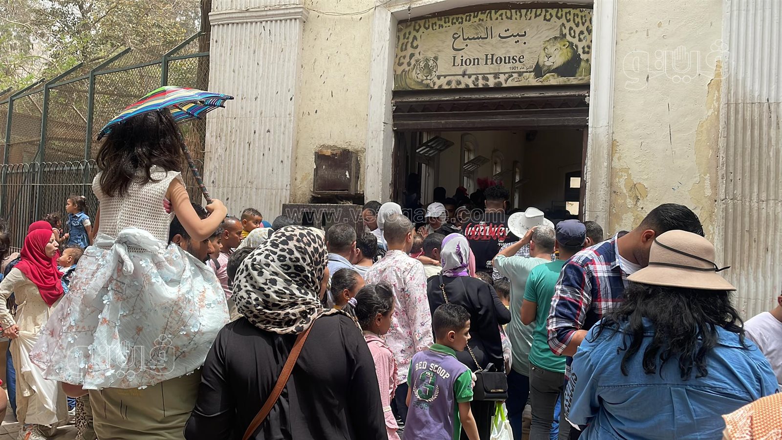 زوار حديقة الحيوان (5)