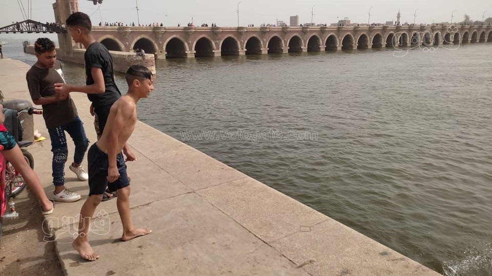 هربًا من الحر.. الأطفال يقفزون في نهر النيل بالقناطر الخيرية (3)