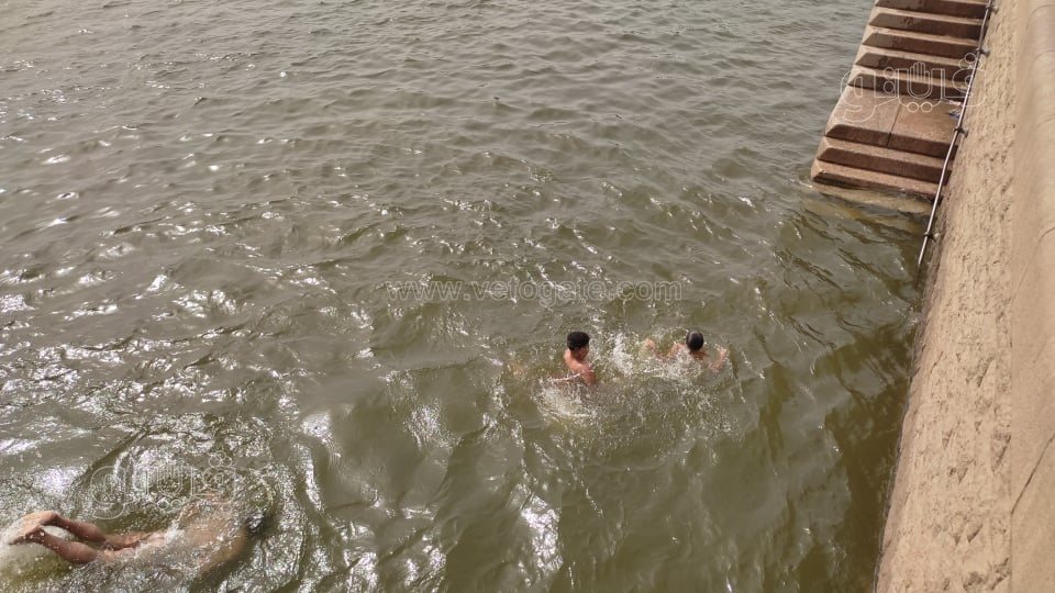 هربًا من الحر.. الأطفال يقفزون في نهر النيل بالقناطر الخيرية (7)