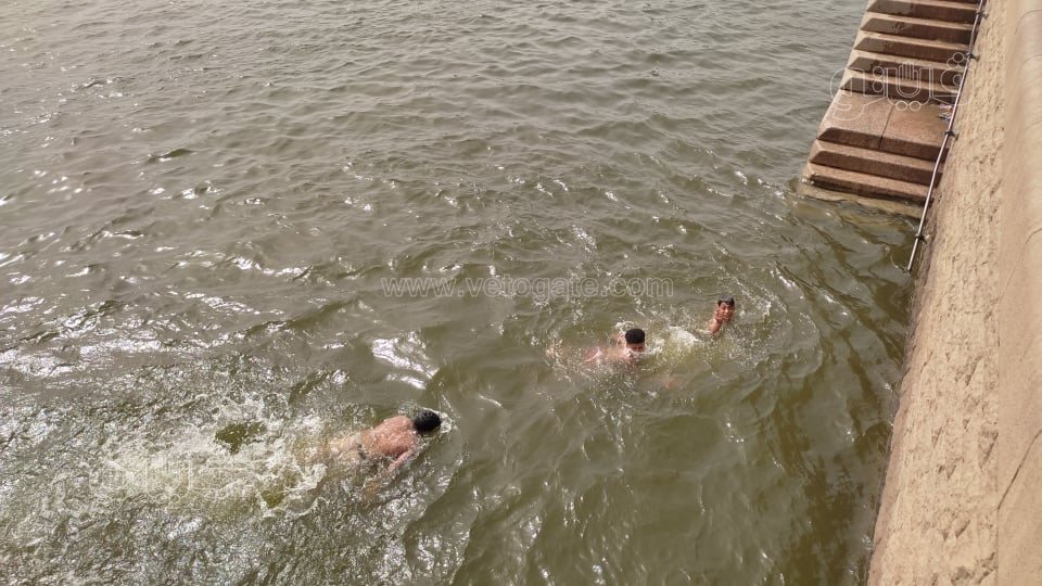 هربًا من الحر.. الأطفال يقفزون في نهر النيل بالقناطر الخيرية (8)