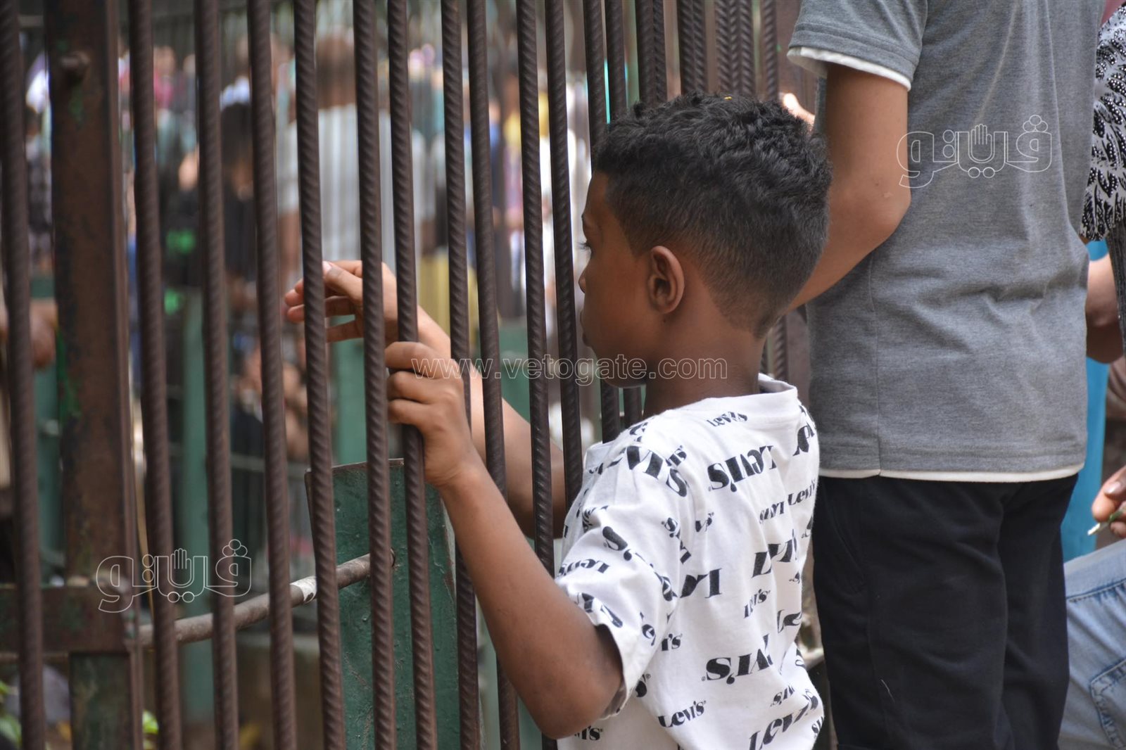 رغم التحذيرات الأطفال يتسلقون الجيلاية والأقفاص بحديقة الحيوانات (4)
