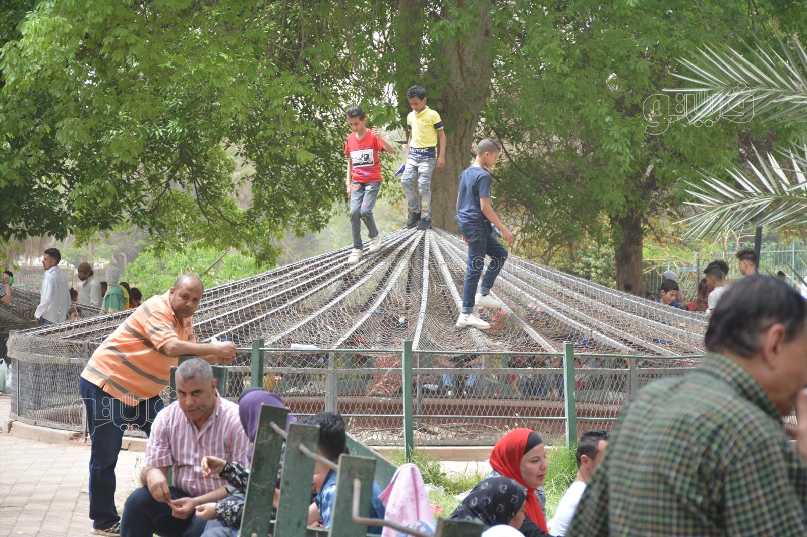 رغم التحذيرات الأطفال يتسلقون الجيلاية والأقفاص بحديقة الحيوانات (5)